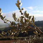 شقة Podere Castagne