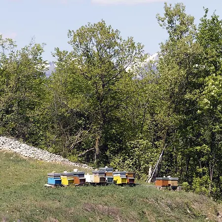 Podere Castagne Mezzane di Sotto