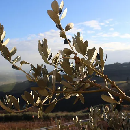Διαμέρισμα Podere Castagne
