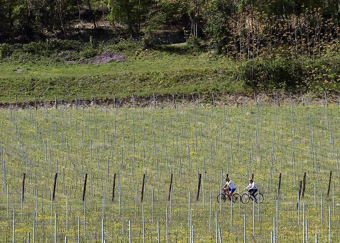 Apartman Podere Castagne Mezzane di Sotto